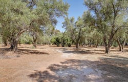 2804 Southgate Rd, Alpine, CA 91901