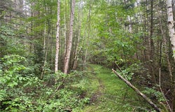On Knowles Road, Loretta, WI 54896