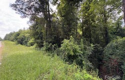 Jackson Road W, Chesterfield, SC 29709