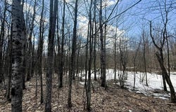 Lot 324 Parkridge Drive, Mancelona, MI 49659