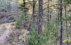NHN Two Creeks Road, White Sulphur Springs, MT 59645