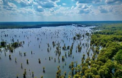 15585 Rudd Road, Ida, LA 71044