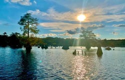 1522 Stone Mill Creek Rd, Wewahitchka, FL 32465