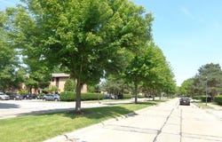 16395 Heather Lane unit: 201, Middleburg Heights, OH 44130