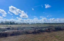 2340 SW COUNTY RD 351, Mayo, FL 32066