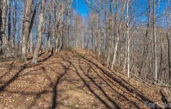 Walnut Creek Road, Marshall, NC 28753