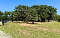 790 Ferguson Road, Whitesboro, TX 76273