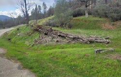 7541 Rush Creek Road, Lewiston, CA 96052