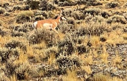 Rock Creek Rd., Glen, MT 59732