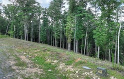 190 Split Creek Road, Morganton, GA 30560
