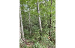 2745 Hopper Creek Road, London, KY 40744