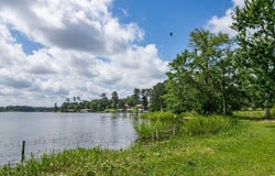 County Road 2232, Daingerfield, TX 75638