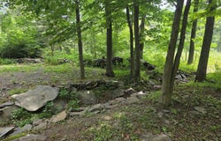 597 Ross Ruland Road, Cairo, NY 12413