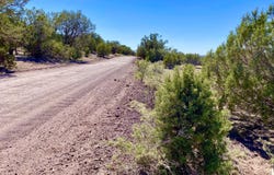 Tbd Co Rd 8269 Lot 151, Concho, AZ 85924