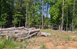 TBD Rolling Hills Rd, Ridgeway, SC 29130-0000