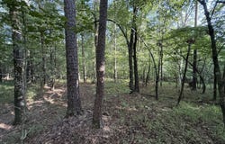 2260 Cunningham, Greensboro, GA 30642
