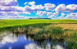 Little Muddy Creek Ranch, Cascade, MT 59421