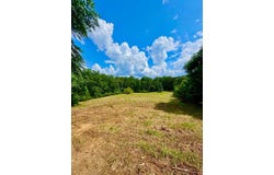 0 Bailey Road, Double Springs, AL 35553