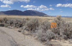 3510 N 151st E Street, Ely, NV 89301