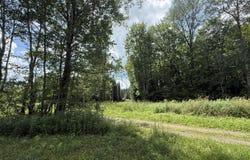 W14015 Hamilton Dr, Sheldon, WI 54766