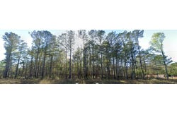 Highway 35, Foxworth, MS 39483