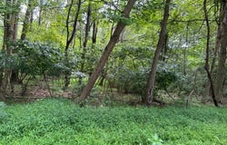 16 Green St, Hope Twp., NJ 07825-3639