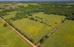 Tbd Cowskin Road, Southwest City, MO 64863