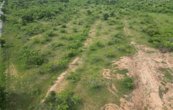 Tbd CR 119, Clyde, TX 79504