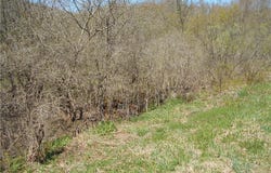 2430 Pine Swamp Road, Masonville, NY 13839
