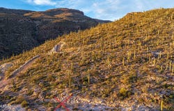 12989 E Cabeza De Vaca, Tucson, AZ 85749
