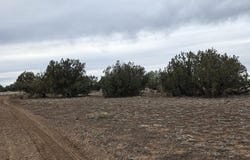 214b Juniper Woods, Ash Fork, AZ 86320