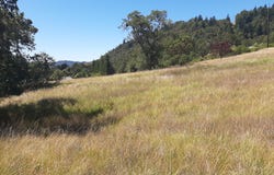 0 NW BROAD ST, Roseburg, OR 97471