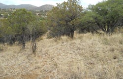 Silver City, NM 88061