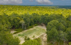 Power Dam Road, Newton, AL 36352