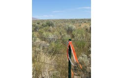 12 Hog Tommy Road, Spring Creek, NV 89815