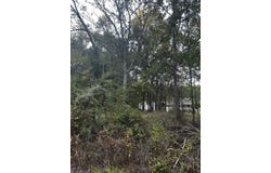 Airlite Rd., Marshall, TX 75670