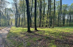 0002 S Bright Road, Maple City, MI 49664