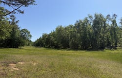 Arthur Byrd Road, Pocahontas, TN 38061