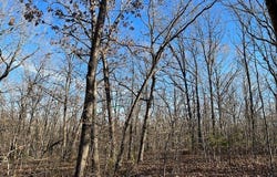 MO STATE HWY-W, Versailles, MO 65011