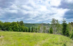 235 Bayswater Rd, Amboy, WA 98601
