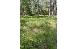 Vine Hollow, Woodville, MS 39669