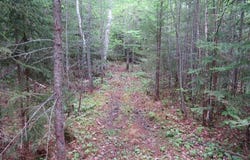 TBD Off Snowmobile Trail 133, Mohawk, MI 49950