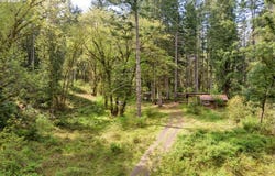 38220 BOSCAGE Ln, Springfield, OR 97478