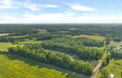 10.65 Acres County Road 405, Dutton, AL 35744