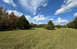 01 Seneca St Ext, Calhoun Falls, SC 29628