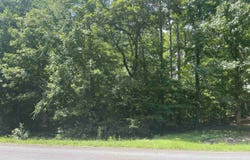 29 Balboa Drive, Hot Springs Village, AR 71909