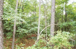 Sand Pit Loop, CAMDEN, TN 38320