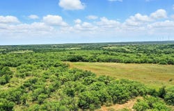 Tract 5 State Highway 6, Moran, TX 76464