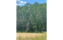 Tbd Lot 7 Destination Drive, Nevis, MN 56467