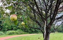 N10438 JONES RD, Tomahawk, WI 54487
